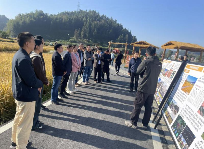 全市秋种工作现场会议召开